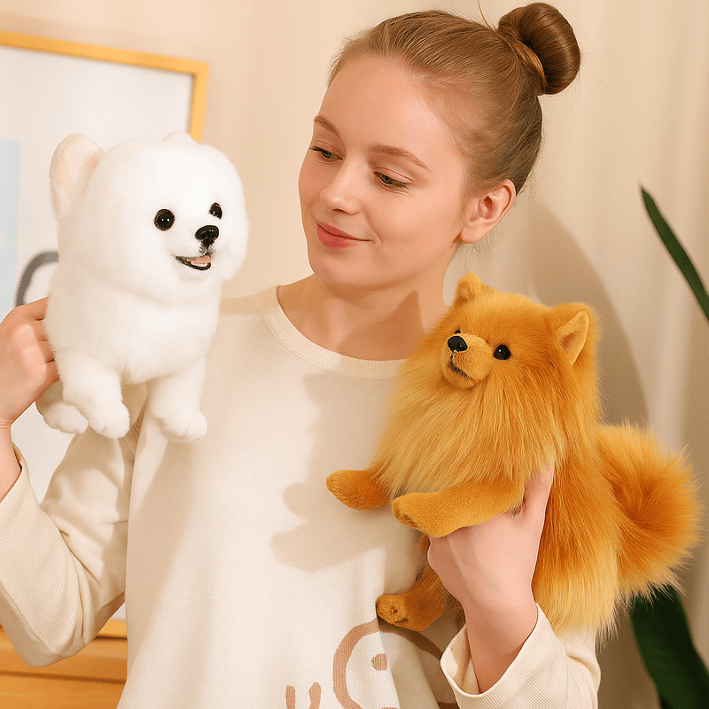 Deux peluches chiens Spitz nain de qualité tenu par une fille