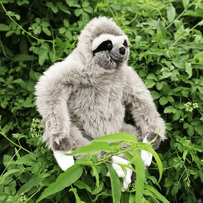 Peluche paresseux réaliste dans un arbre