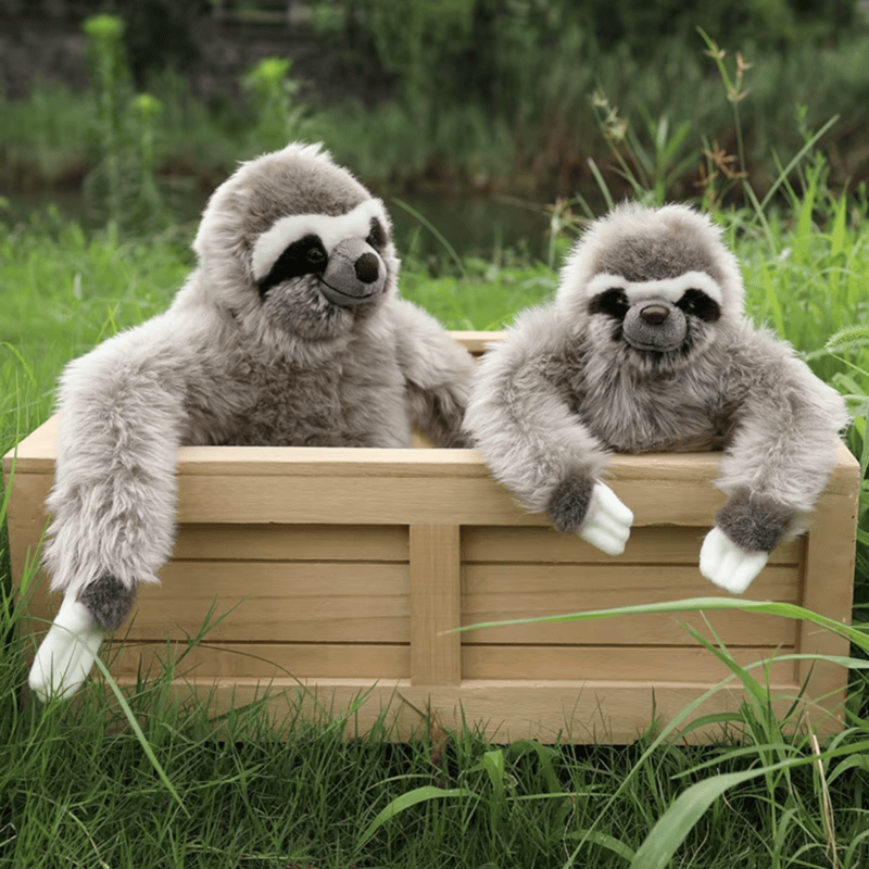 Deux peluches paresseux dans une caisse en bois dans la nature