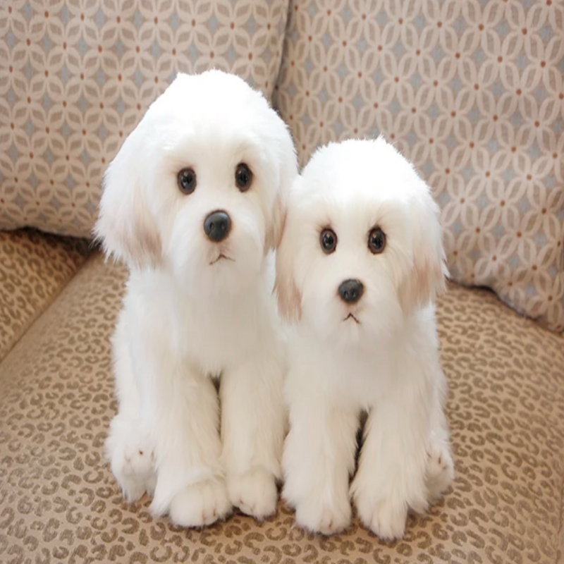 Peluche chien bichon