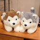 Deux peluches chiens Husky sur meuble