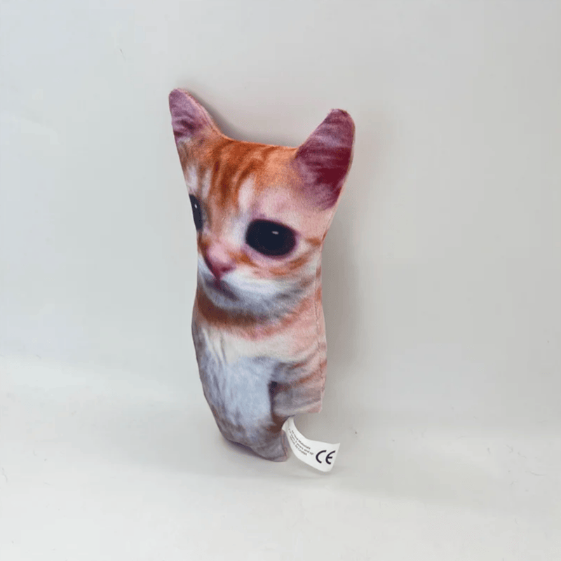 El gato chat en peluche