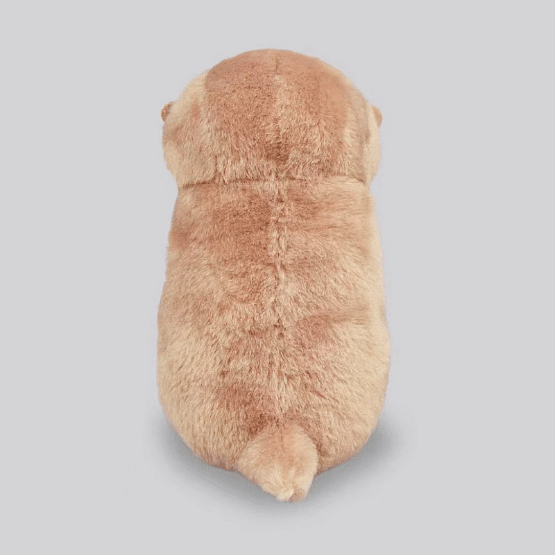 Mini peluche loutre avec son poisson