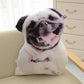 Oreiller en peluche chien Carlin