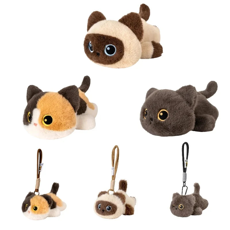 Six peluches chats mignons sur fond blanc