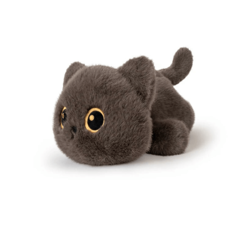 Peluche chat mignon gris sur fond blanc