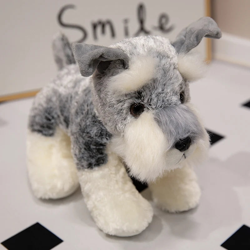 Peluche chien Schnauzer sur le sol 