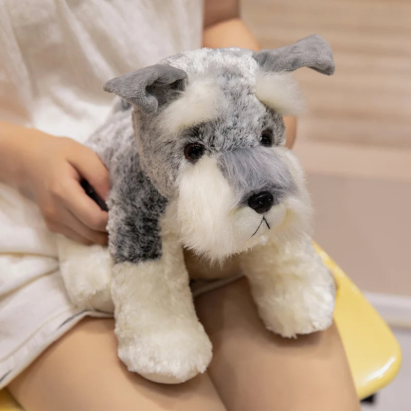 Peluche chien Schnauzer sur les cuisses d'une fille