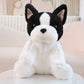 Peluche chien blanc Bouledogue Français sur canape