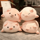 Quatre peluches cochons en coussin sur un tapis