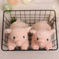 Deux peluches cochons mignons dans un panier