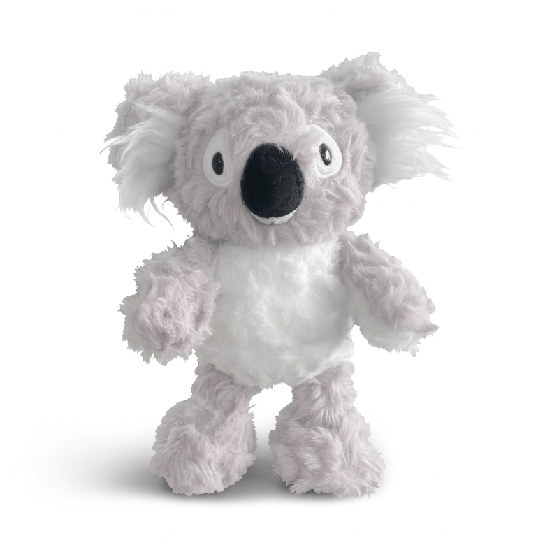 Peluche koala au réveil sur fond blanc