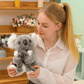 Peluche koala gris mère et fils dans les mains d'une femme