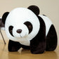 Peluche panda sur parquet 