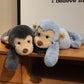 Deux peluches singes douces couché sur un meuble