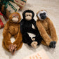 Trois peluches sur un tapis dont un orang-outan, un chimpanzé et un gibbon