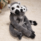 Peluche Lémurien mère et fils sur un tapis