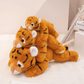 Trois peluches tigres oranges mignons sur une couverture