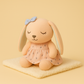 Peluche lapin endormi