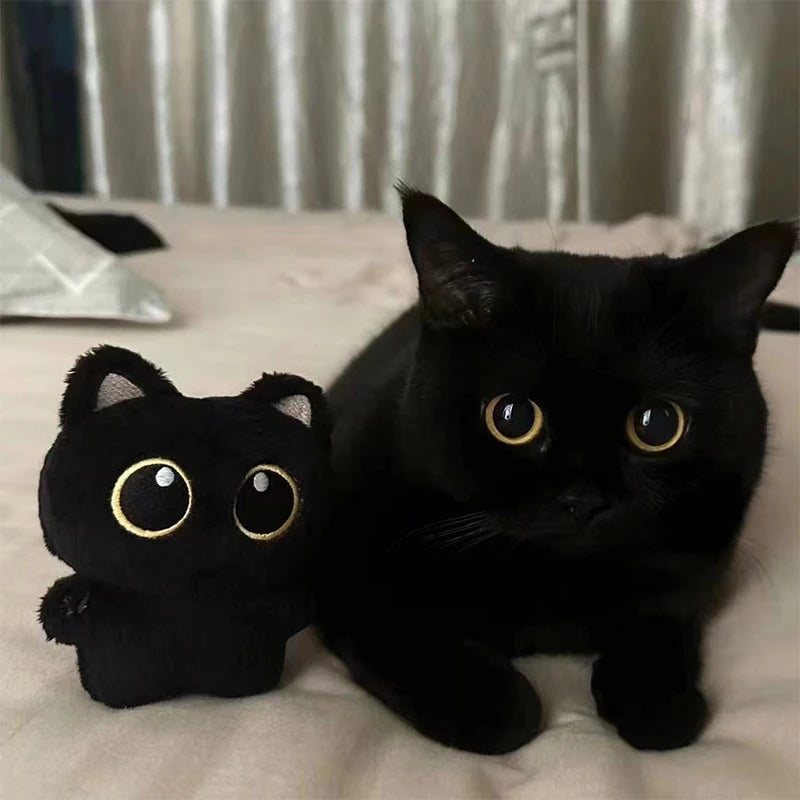 Petit chat noir en peluche