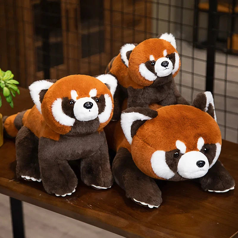 Trois peluches debout de panda roux sur une table