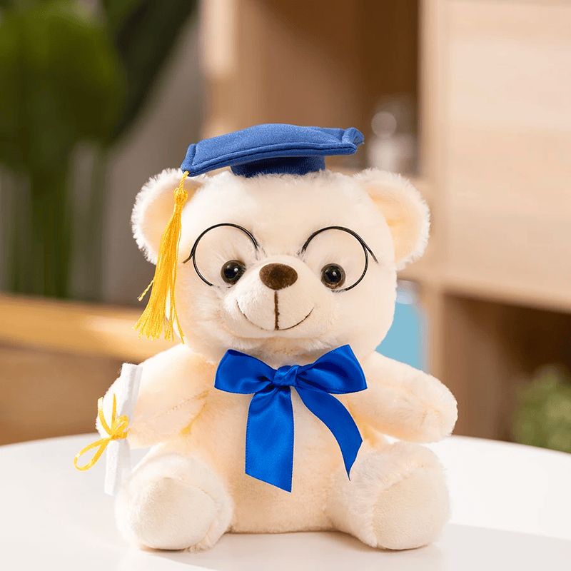 Ours en peluche diplômé