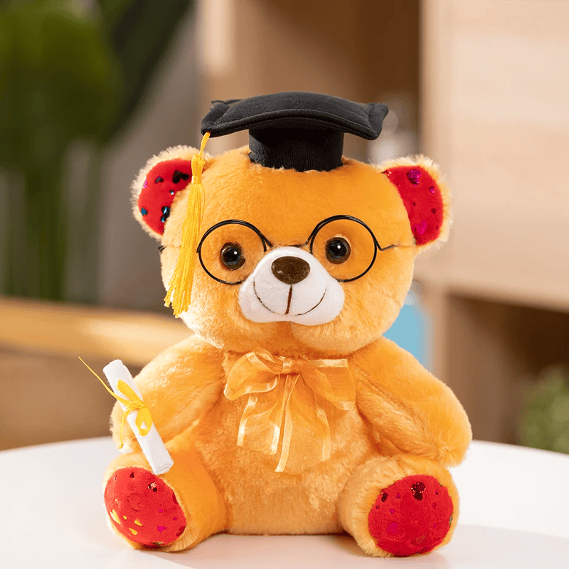 Ours en peluche diplômé