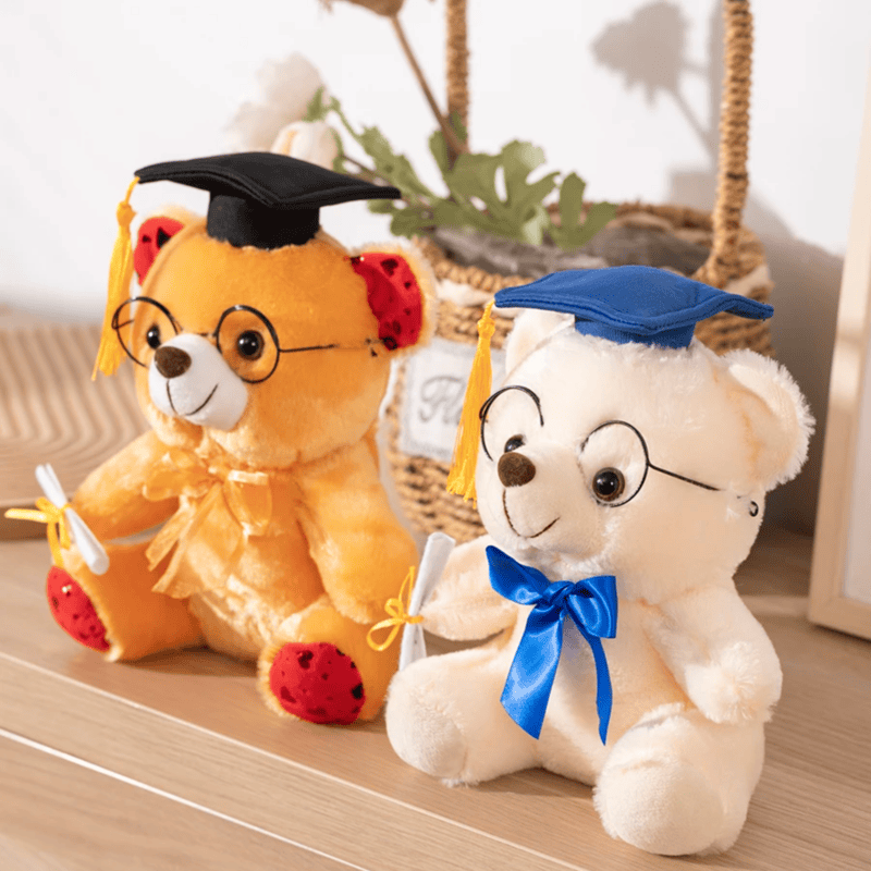 Ours en peluche diplômé