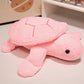 Peluche tortue colorée