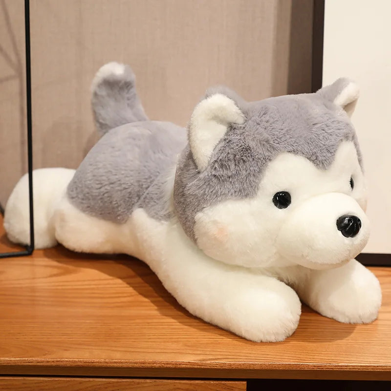 peluche chien Husky grise sur meuble