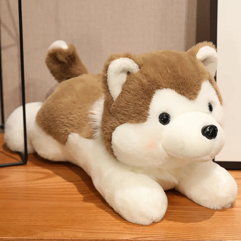 peluche chien Husky marron sur meuble